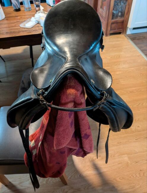 Jorge Canaves Celebration Island 18, Gorge Canaves  Celebration Island , Janett, Isländersattel, Heiningen