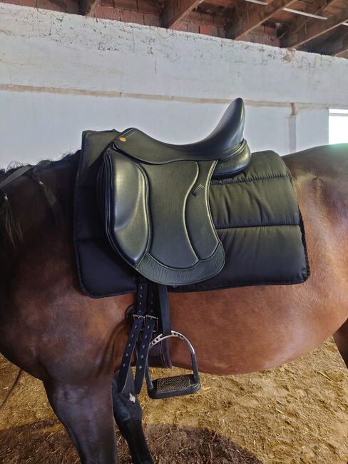 Jorge Canaves JC Dressursattel P3, 17 Zoll, 1 Jahr alt, Jorge Canaves JC P3 Performance , Belinda Wendlandt , Dressage Saddle, Kirchheim i.Schw.