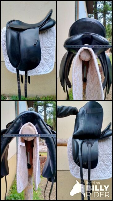 Jorge Canaves Saphir, Jorge Canaves  Saphir , Paula Brouwer, Dressage Saddle, OberWinkel , Image 8