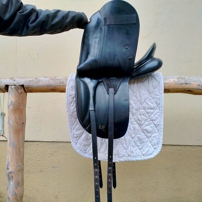 Jorge Canaves Saphir, Jorge Canaves  Saphir , Paula Brouwer, Dressage Saddle, OberWinkel , Image 6