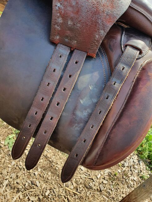 Jorge Canaves VS Sattel, Jorge Canaves  Vielseitigkeit Celebration Haflinger, Habla, All Purpose Saddle, Bad Kreuznach , Image 3