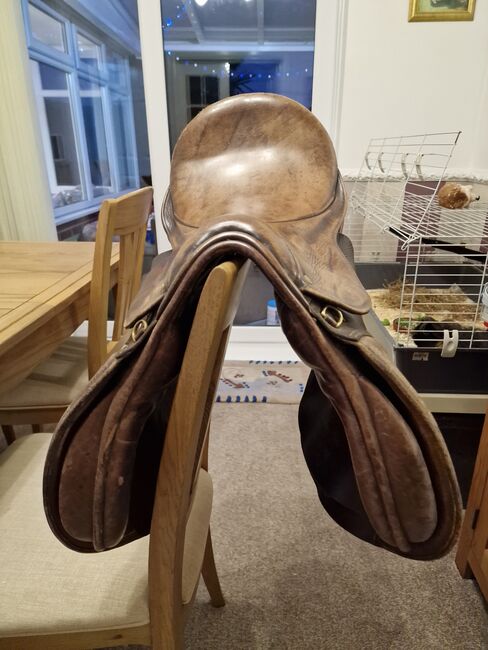 Jump saddle- Leather, Ellise, Jumping Saddle, Worksop , Image 3