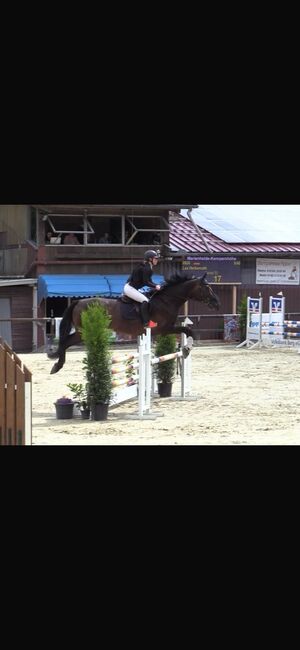 Springpferd, Lea Herkenrath, Horses For Sale, Kircheib , Image 5