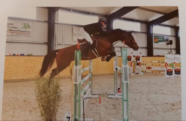 Springpferd Stute 9 j  v. Casall, Mirjam Wrede, Horses For Sale, WESERTAL, Image 3