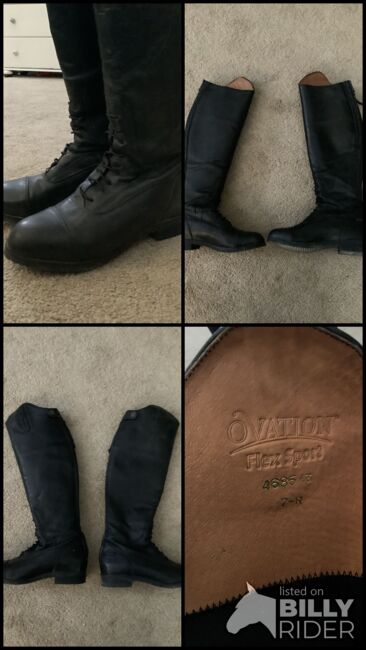 Jumping Boots, Ovation, Bella, Oficerki jeździeckie, Nolensville, Image 5