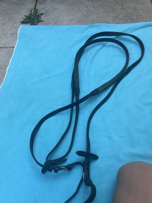 Springzügel, Euroriding, Lucia Nolde, Training Aids, Fuerstenfeldbruck
