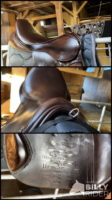 Springsattel  18 Zoll braun, Hintermayer Anatomic spring tree, Amberger Verena, Jumping Saddle, Viechtach , Image 4