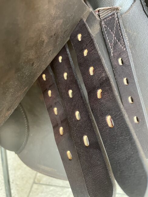 Springsattel, Cheval de Luxe, Carina, Jumping Saddle, St. Veit an der Göslen, Image 4