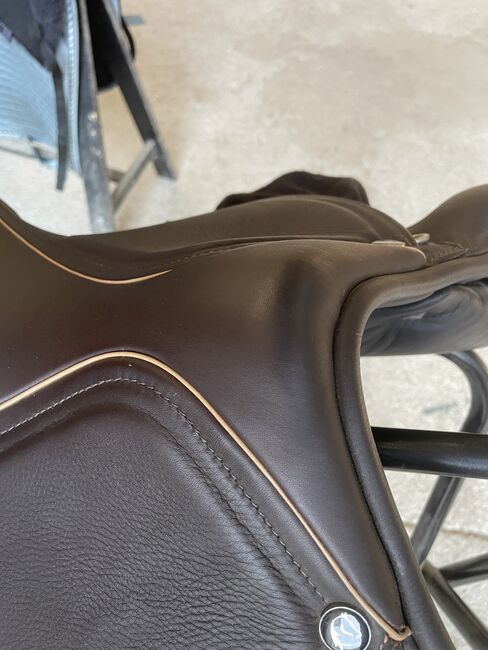 Springsattel, Cheval de Luxe, Carina, Jumping Saddle, St. Veit an der Göslen, Image 8