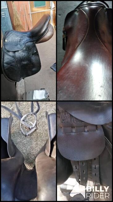 Springsattel, Exselle , Rempe, Jumping Saddle, Verl, Image 11