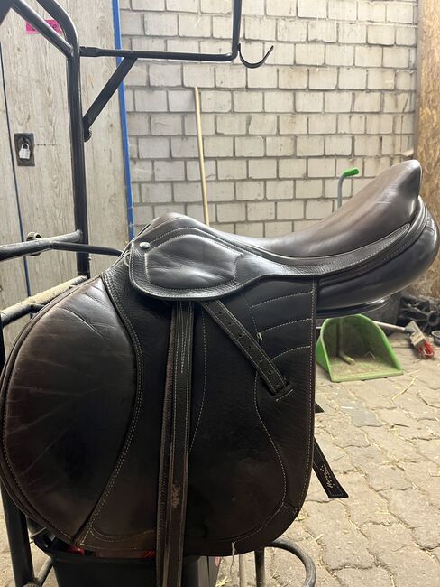 Springsattel Horse Star Endeavour, Horse Star Endeavour, Leo, Jumping Saddle, Waldsee, Image 10