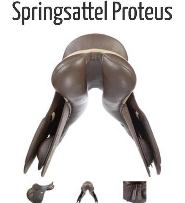 Springsattel, Kavalkade Proteus, Tanja Brock, Jumping Saddle, Drebber