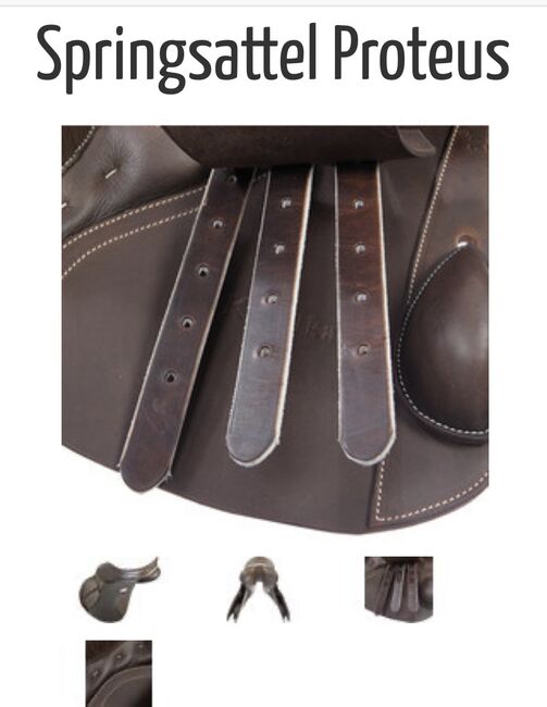 Springsattel, Kavalkade Proteus, Tanja Brock, Jumping Saddle, Drebber, Image 3