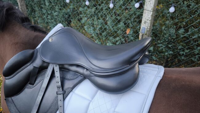 Springsattel Louisa koehne monoblat schwarz Glitzer 17,5 Zoll, Louisa koehne , Jassi , Jumping Saddle, Zossen , Image 18