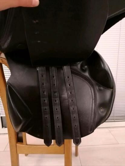 Springsattel Norbert Koof, Kiefer Norbert Koof, V.L, Jumping Saddle, Feuchtwangen, Image 4