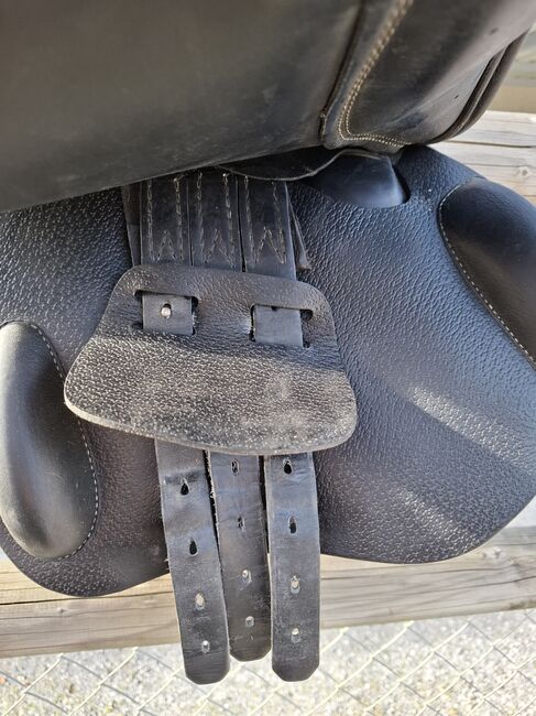 Springsattel Prestige 18", Prestige, Daniela Rochat, Jumping Saddle, Kölliken, Image 4
