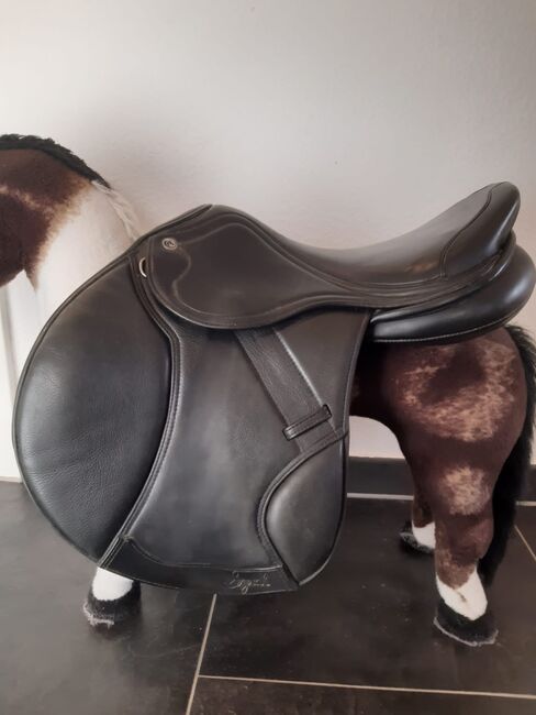 Springsattel ,,Syrah" v. Capreole ca. 1 Jahr gebraucht inkl. Gurt, Capreole Syrah, Susanne, Jumping Saddle, Weinstadt, Image 13