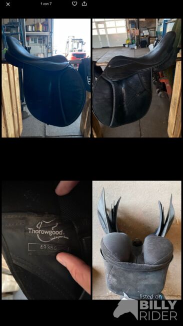 Springsattel, Thorowgood Springsattel, Melissa Najmann, Jumping Saddle, Amt Wachsenburg, Image 7