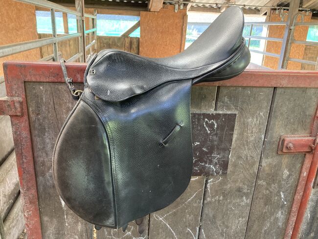 Springsattel, Katharina , Jumping Saddle, Damp