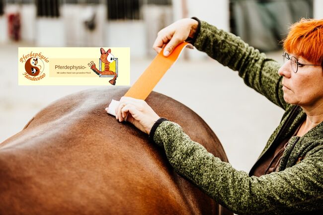 Juni 2024 Flexibles Taping an Pferd und Hund, Sabine vom WSR-Team (Pferdebewusst-Lernen), Courses & Seminars, Nuthe-Urstromtal