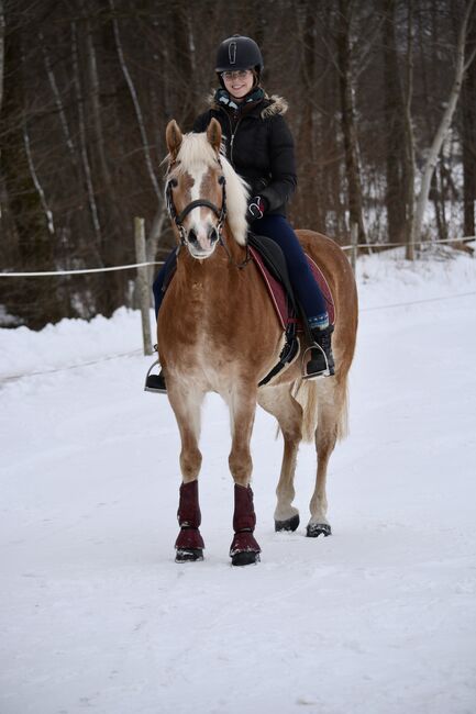 Liebevolle Haflingerstute Cessyna sucht neues Zuhause, Sandra Schrattenecker, Horses For Sale, Waldzell, Image 3