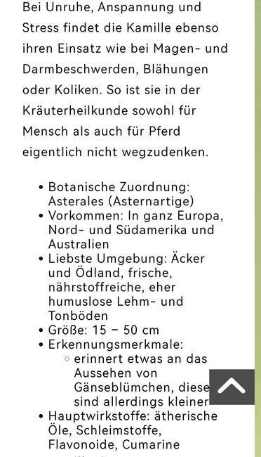 Kamillenblüten für Pferde bei Magen und Darm Beschwerden, I. A. , Pferdefutter, Herrengosserstedt, Abbildung 3