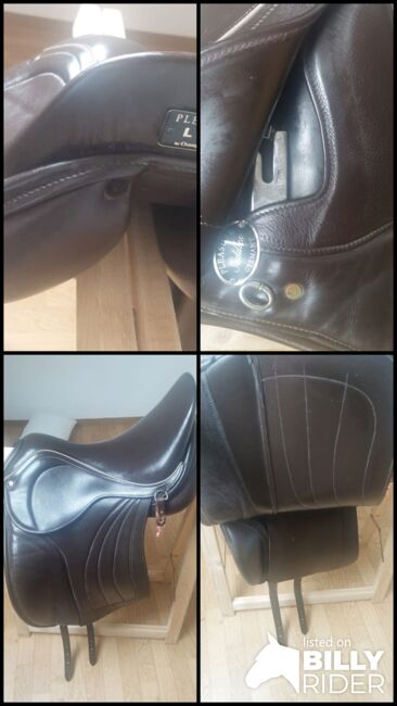Champion Rider, Champion rider Plesure lk3, Simon, Icelandic Saddle, Krumbach, Image 7