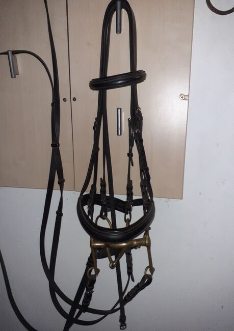 Kandarenzaum Dressurkandare inkl. Zügel  WB, Sprenger  KK ultra aurigan , Kristin Hilf , Sonstiges, Pommelsbrunn
