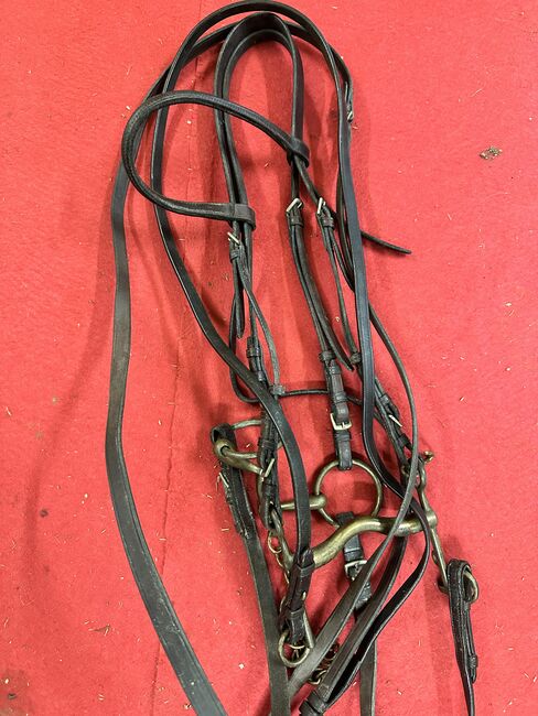 Kandarenzaum, Pamela , Hilfszügel, Brückl