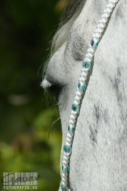 Show Halfter "Crystal"  wunderschön mit Kubusperlen komplett mit Kette und Strick, Showhalfter, Una (Horse-design), Kantary, Rot am See, Image 4