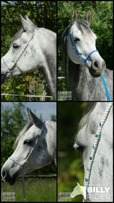 Show Halfter "Crystal"  wunderschön mit Kubusperlen komplett mit Kette und Strick, Showhalfter, Una (Horse-design), Kantary, Rot am See, Image 5