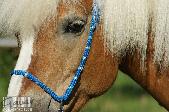 Show Halfter "Crystal" wunderschön mit Kubusperlen komplett mit Kette und Strick, Showhalfter, Una (Horse-design), Kantary, Rot am See, Image 2