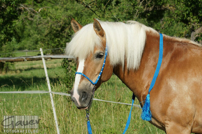 Show Halfter "Crystal" wunderschön mit Kubusperlen komplett mit Kette und Strick, Showhalfter, Una (Horse-design), Kantary, Rot am See, Image 4