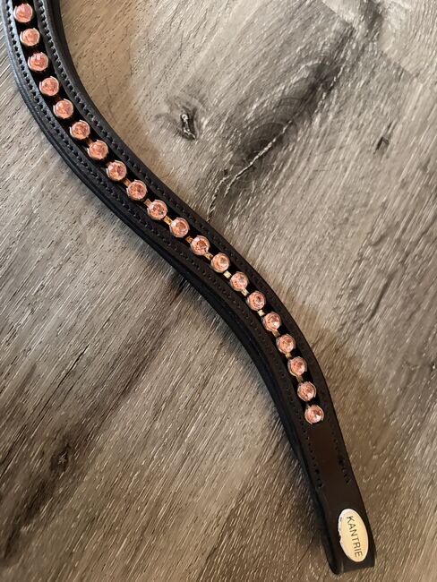 Kantrie Stirnriemen Pink rosa Full/WB, Kantrie, Tanja Hochhaus , Browbands, Schwarzenberg, Image 4