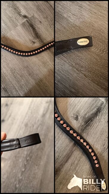 Kantrie Stirnriemen Pink rosa Full/WB, Kantrie, Tanja Hochhaus , Browbands, Schwarzenberg, Image 6