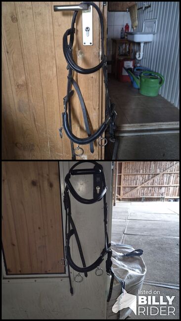 Kappzaum Leder Soft& light Gr. COB, Clairidge House, Jenny, Longieren, Schweinfurt, Abbildung 3