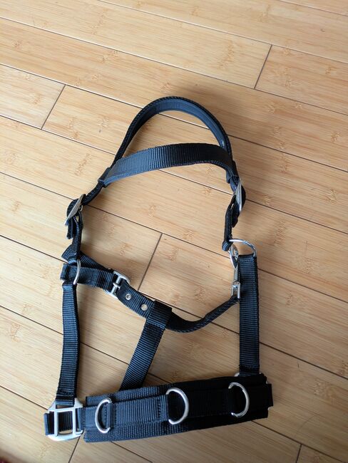 Kappzaum Showmaster COB, schwarz Stoff, Showmaster  Kappzaum COB, Laura , Bodenarbeit, Essen