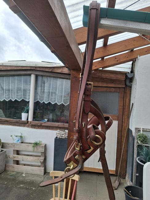 Kappzaum Wb braun, Privat , Longieren, Münzenberg 