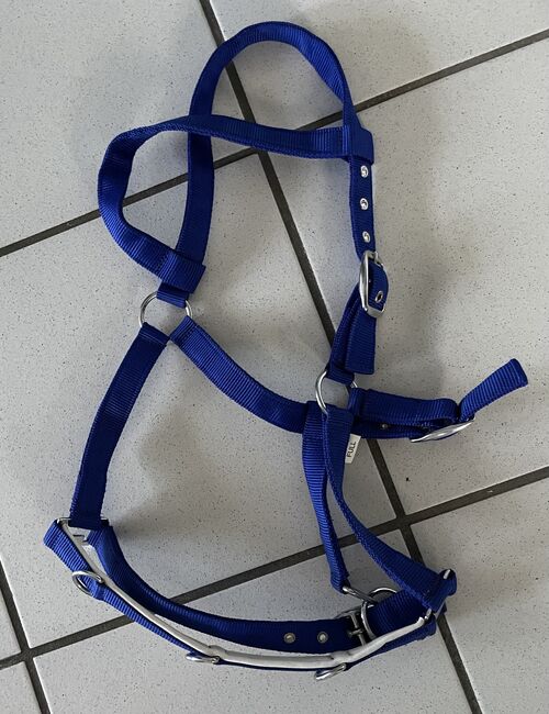 Kappzaum Halfter, Claudia Hollmann , Bitless Bridles, Bielefeld, Image 2