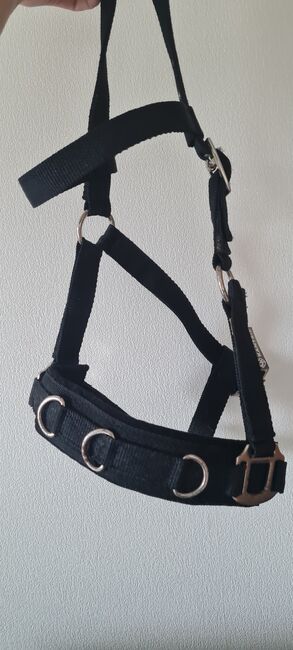 Kappzaum / Halfter, Roxi, Halters, Wissen