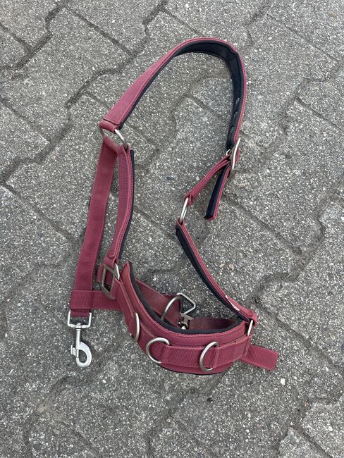 Kappzaum - Loesdau, Jolina Lehner, Halters, Neustadt an der Weinstraße