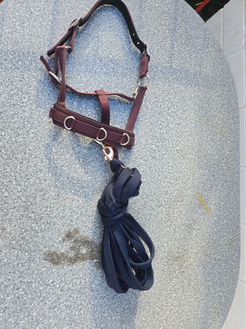 Kappzaum mit Longe, Felix Bühler  Kappzaum mit Longe , M. Sieler, Lunging, Langenfeld