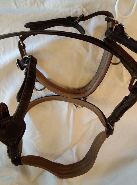 Kappzaum WB von Barefoot, Barefoot Kappzaum, Kathi Ramsauer, Bitless Bridles, Aschau, Image 3