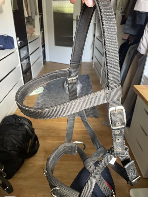 Kappzaum WB/Full, Leonie Ertl, Lunging, Amberg, Image 2