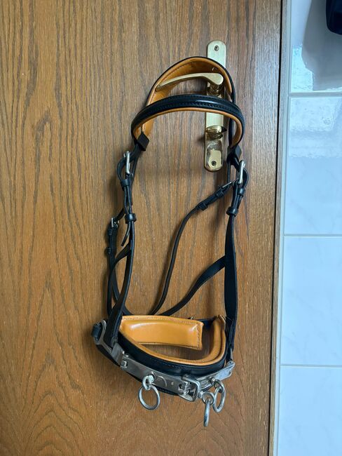 Kapzaum Cop, Lena Muth , Bitless Bridles, Hagen