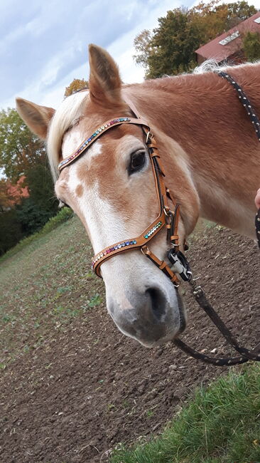 Sonderanfertigung Trense, Horsefashion Lederzaum, Tina, Ogłowia, Lübbecke, Image 5