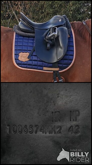 Karl Niedersüß Ouvertüre Victoria, Karl Niedersüß  Ouvertüre Victoria , Verena , Dressage Saddle, Niederalm, Image 3