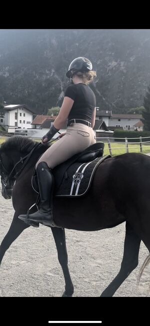 Karl Niedersüß Sattel zu Verkaufen, Karl Niedersüß Medley, Elena Mader, Dressage Saddle, Landeck, Image 2