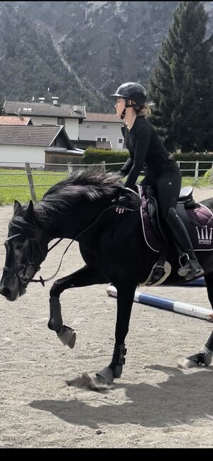 Karl Niedersüß Sattel zu Verkaufen, Karl Niedersüß Medley, Elena Mader, Dressage Saddle, Landeck, Image 13