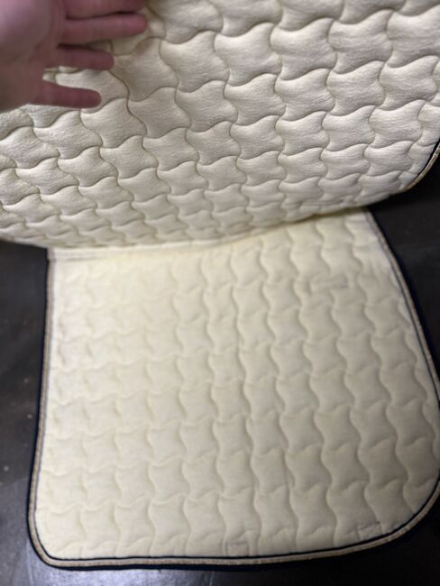 Kavalkade Dressur Schabracke gelb, Kavalkade, Julia Krings, Dressage Pads, Heinsberg, Image 2